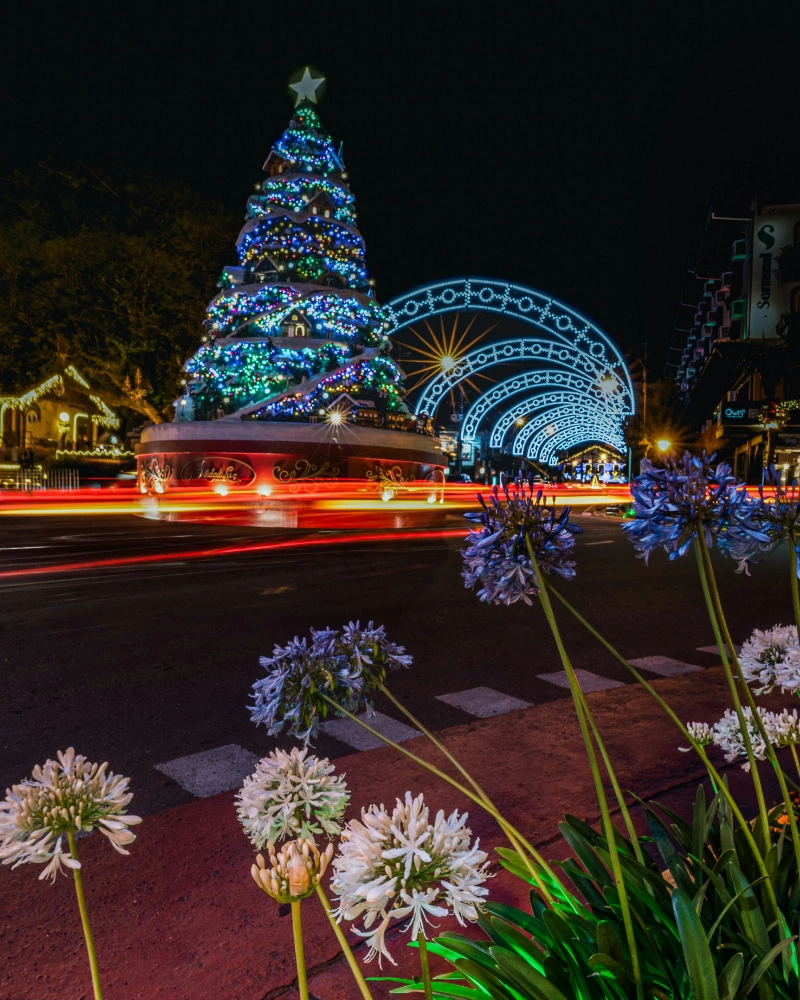 img012-carneirotravel-gramado12