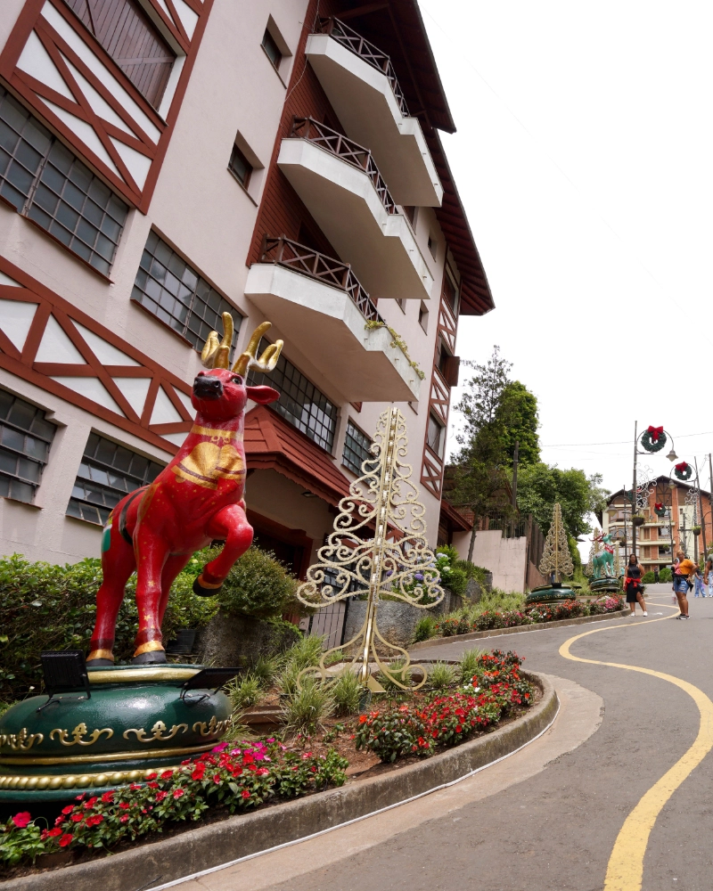 img012-carneirotravel-gramado4